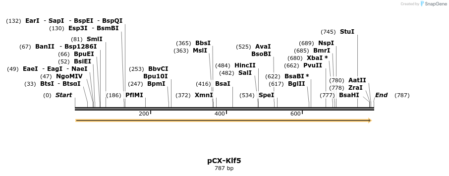 117308_map