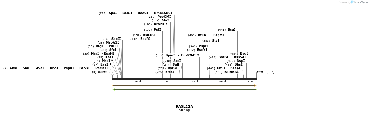 11731_map