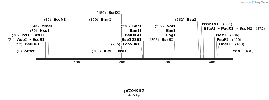 117313_map