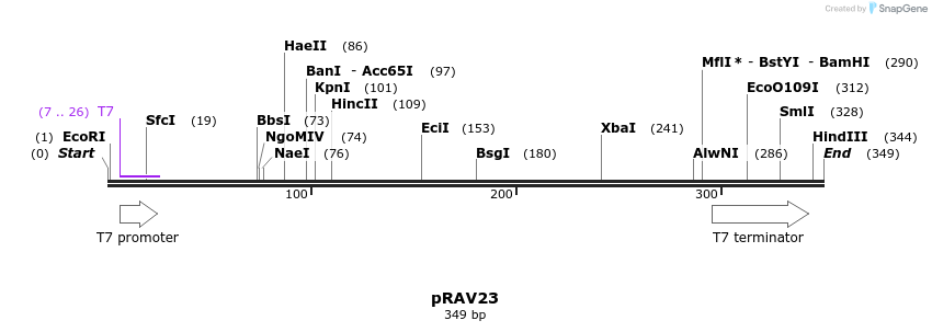 117317_map