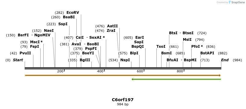 11732_map