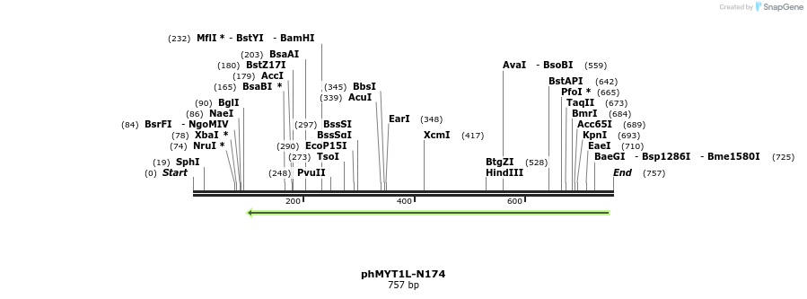 117322_map