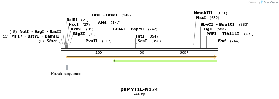 117324_map