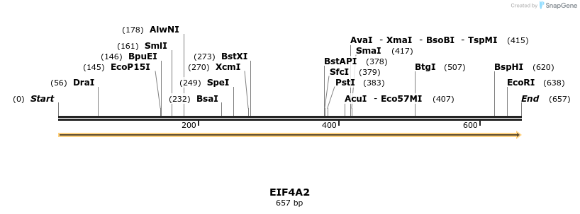 11733_map