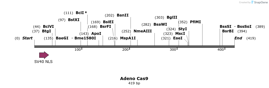 117339_map