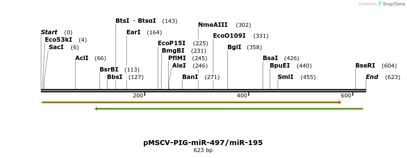 117343_map