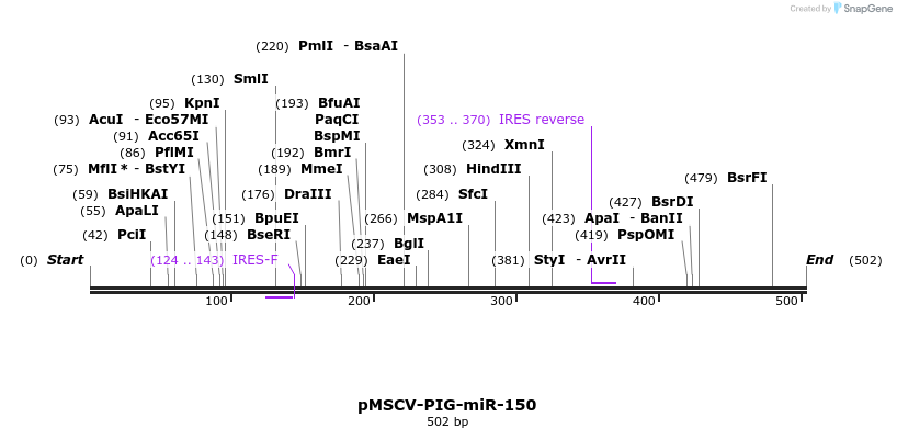 117344_map