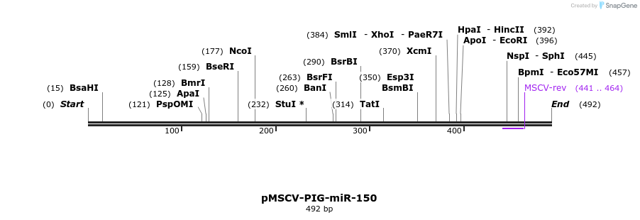 117346_map