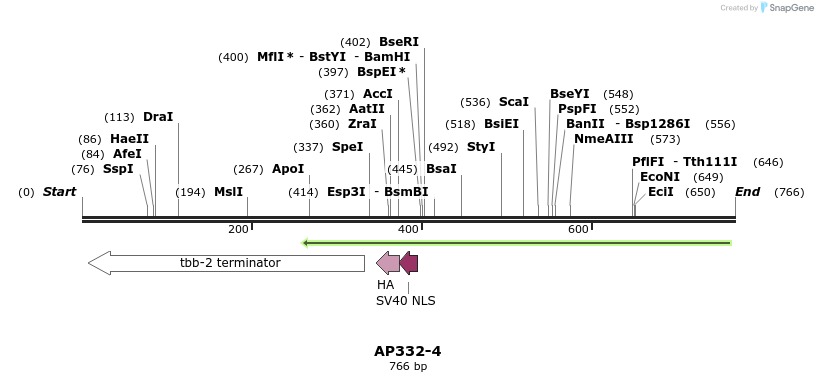 117347_map