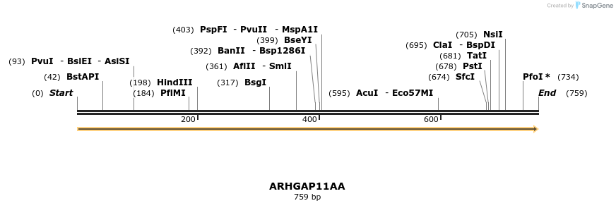 11735_map