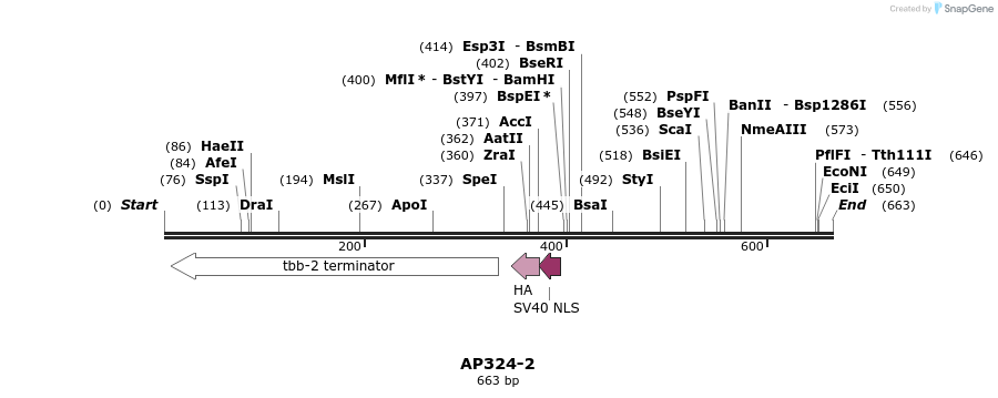 117351_map