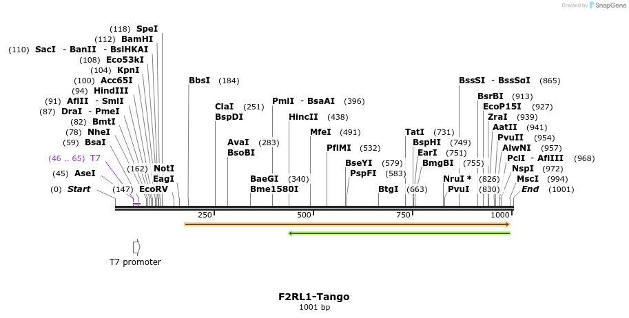 117361_map