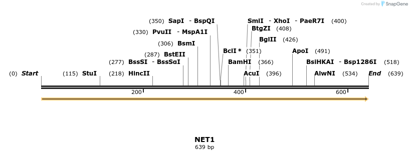 11737_map