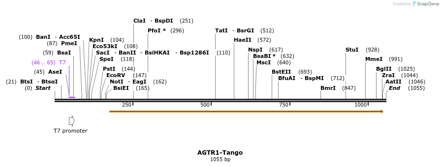 117381_map