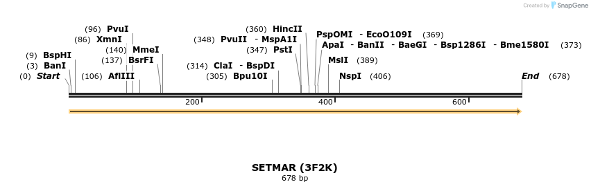 11739_map