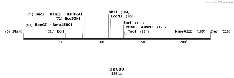 11741_map