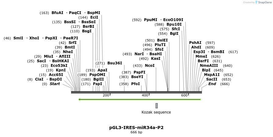 117411_map