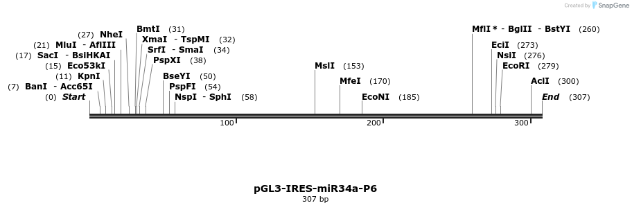 117412_map