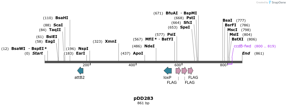 117421_map