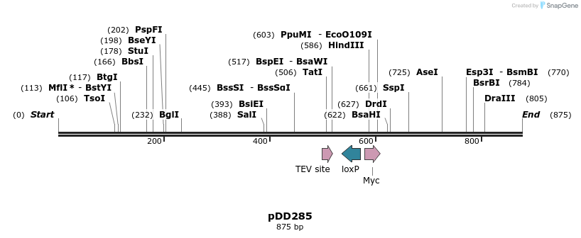 117426_map
