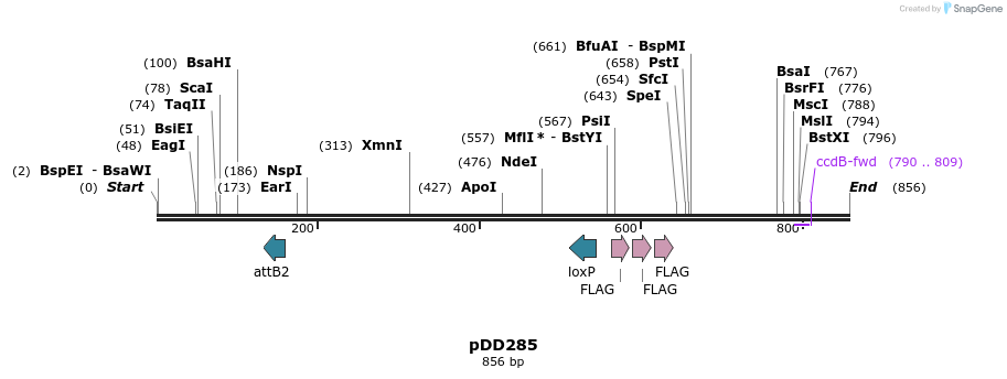 117428_map