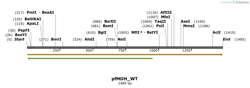 117430_map