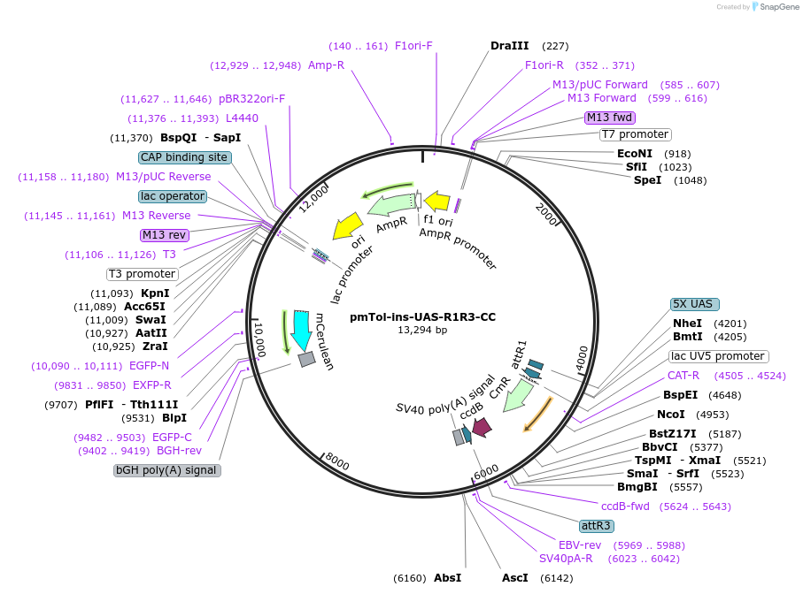 117438_map