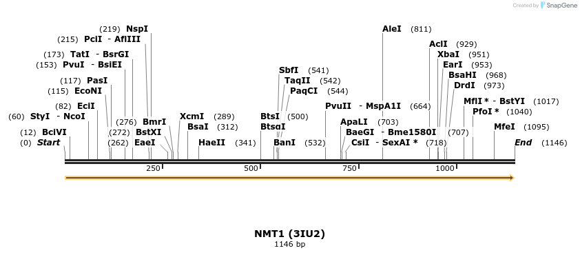 11746_map