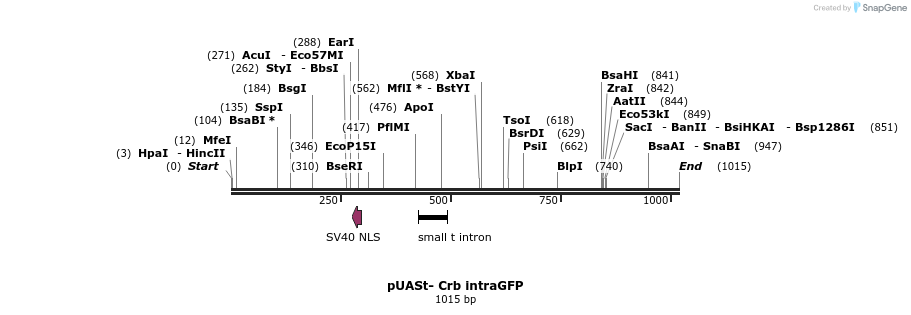 117469_map