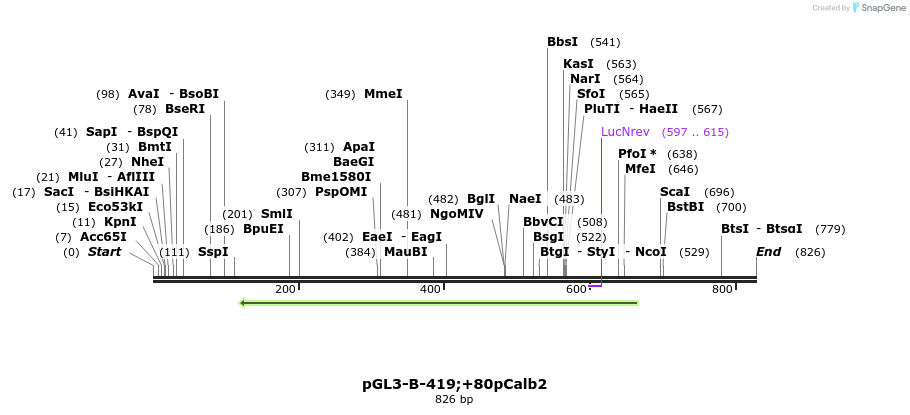 117482_map