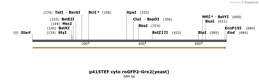 117501_map