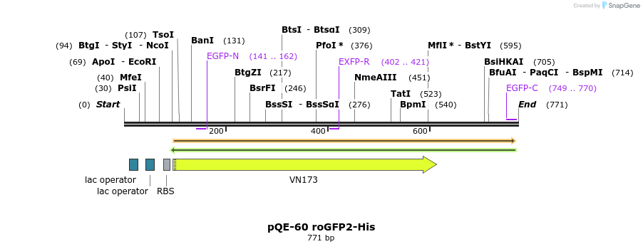 117504_map