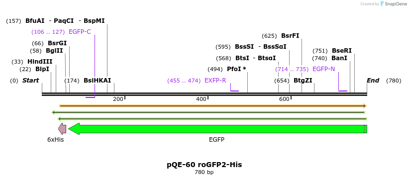 117505_map