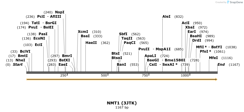 11751_map