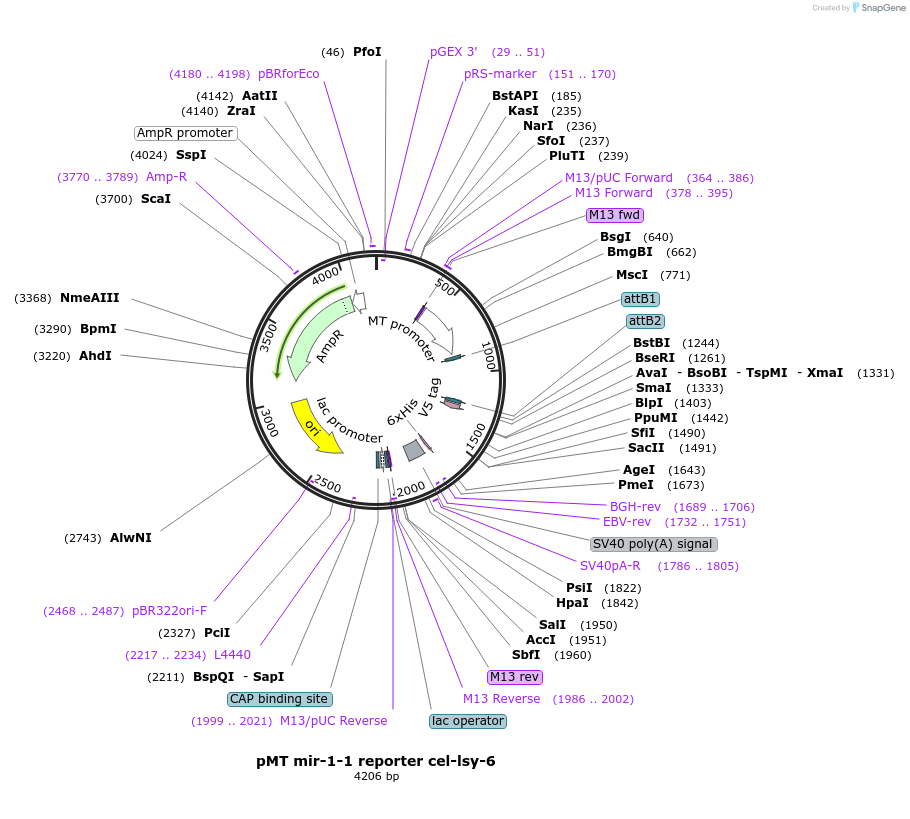 117510_map