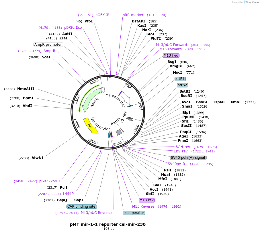 117515_map