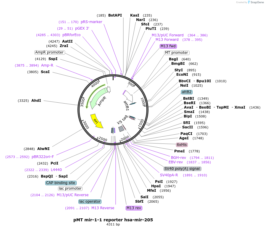 117519_map