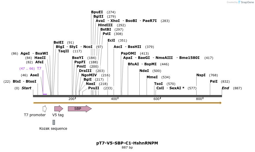 117521_map