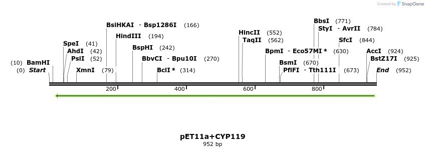 117522_map