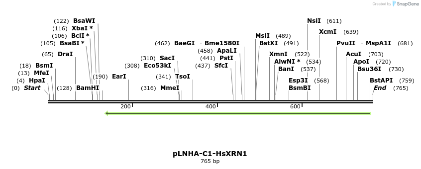 117526_map