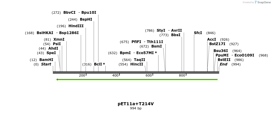 117528_map