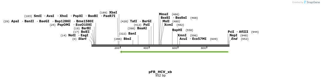 117530_map