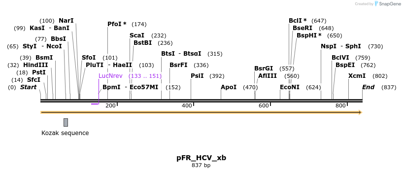 117531_map