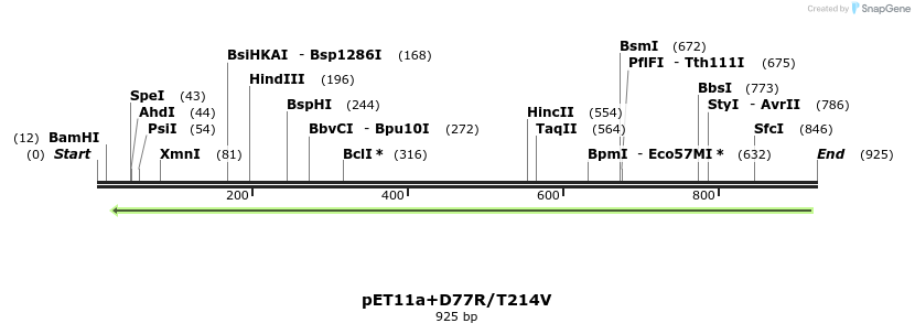 117537_map