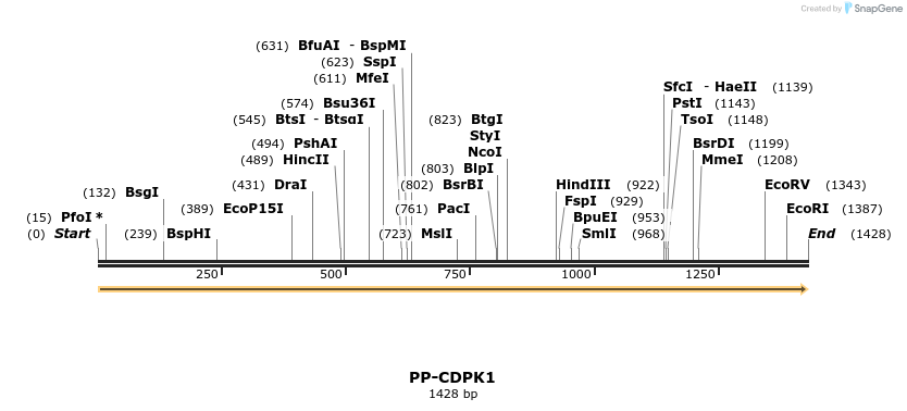11754_map