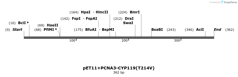 117541_map