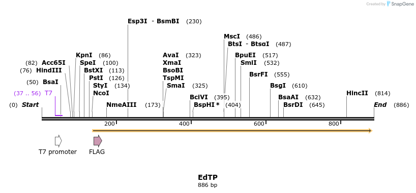 117544_map