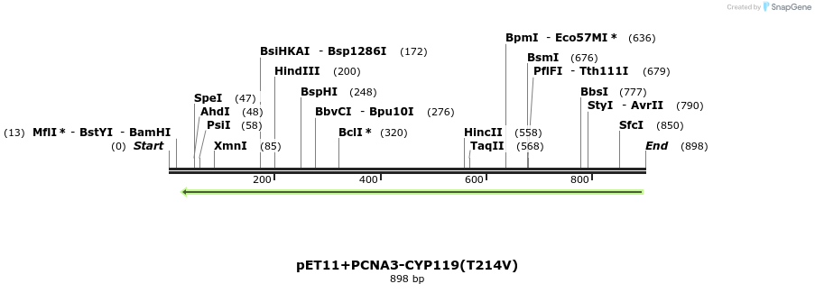 117546_map