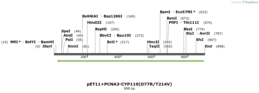 117549_map