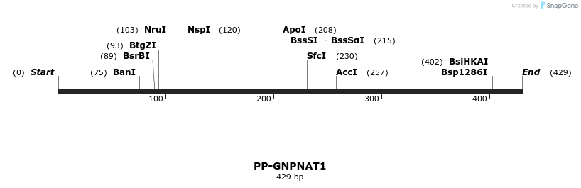 11755_map